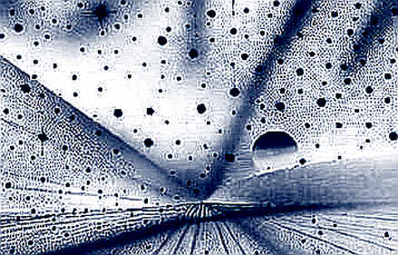 Michael Burry's Semiconductor Short: A Canary in the Crypto AI Narrative Coalmine? Michael Burry's Semiconductor Short: A Canary in the Crypto AI Narrative Coalmine?