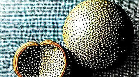 The Silicon Heartbeat of the Next Narrative: Why Samsung’s HBM4 Breakthrough Matters More Than Any Token Airdrop The Silicon Heartbeat of the Next Narrative: Why Samsung’s HBM4 Breakthrough Matters More Than Any Token Airdrop