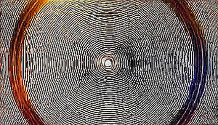 Alpha Isn't a Strategy: The $45M ETH Lesson from FG Nexus Alpha Isn't a Strategy: The $45M ETH Lesson from FG Nexus