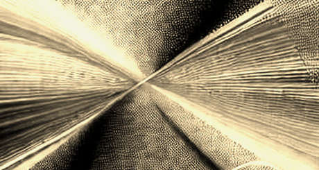 The Supreme Court vs. The Circuit: Why Central Bank Independence is a Bug, Not a Feature