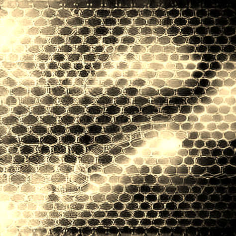 Fortinet Acquires Virtue AI: A Silent Bet on the Agentic Attack Surface