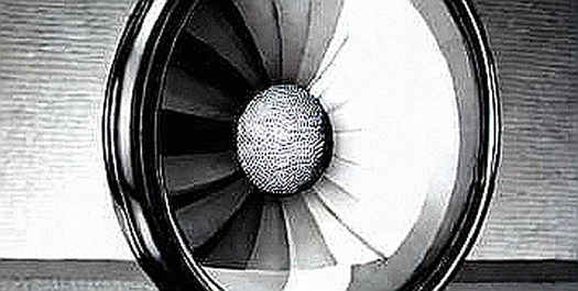 The Information Vacuum: Why the Market's Next Move Is Priced in Noise