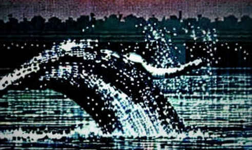 The Strait Will Not Settle: Hormuz, the Oracle Problem, and the Consensus No Protocol Can Finalize