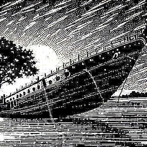 The Silence of the Whales: Why Bitcoin's Washed-Out Sentiment Masks a Deeper Narrative Fracture