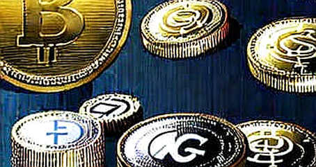 Cowen's Bitcoin Bottom Call: The Code Didn't Break, but the Narrative Did