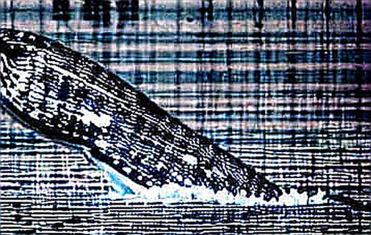 64.5% Say Yamal Is Messi's Heir—But the Chain Tells a Different Story
